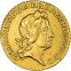 Monnaie, Grande-Bretagne, George I, 1/4 Guinea, 1718, Londres, SUP, Or, KM:555 - Guinea