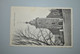 Belgique 1954 Carte Postale Crupet/Eglise - Assesse