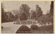 Tulip Bed, State Capitol Grounds, Salem, Oregon - Salem