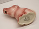 Delcampe - * AMUSANT POT A LAIT COCHON ROSE CERAMIQUE TONY WOOD STAFFORDHIRE ENGLAND - Crown Staffordshire