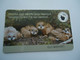 LATVIA  USED  CARDS  BIRDS  BIRDS  OWLS - Gufi E Civette