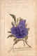 Fantaisies - Fleur - Je Pense à Vous - Violette En Velour - Dorure - Relief  - Carte Postale Ancienne - Other & Unclassified