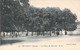 FRANCE - 55 - REVIGNY - La Place Du Marché - DD - Edition Baudin - Carte Postale Ancienne - Revigny Sur Ornain