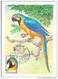 Russia USSR 1984 MC X5 Fauna Maximum Cards Birds Monkey Moscow Zoo 120th Anniv. - Tarjetas Máxima