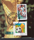 Used PHQ Maxi Maximum Card Postcard USA And Germany Stamps World Cup 1994 Chicago Cancel - Maximumkaarten