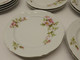 Delcampe - *SUPERBE SERVICE GÂTEAUX PLAT & 12 ASSIETTES A GIRAUD & Cie FLEURS EGLANTIERS  E - Limoges (FRA)