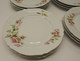 Delcampe - *SUPERBE SERVICE GÂTEAUX PLAT & 12 ASSIETTES A GIRAUD & Cie FLEURS EGLANTIERS  E - Limoges (FRA)