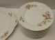 Delcampe - *SUPERBE SERVICE GÂTEAUX PLAT & 12 ASSIETTES A GIRAUD & Cie FLEURS EGLANTIERS  E - Limoges (FRA)