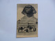 Le Sphinx  -  Egypte - Sphinx