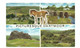 Devon Dartmoor Multiview With Pony Salmon Unused - Dartmoor