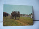 HORTOBAGY LOVASNAPOK REITERTAGE DAYS ON HORSEBACK  HONGRIE HONGRIA CPM 1972 - Hungary