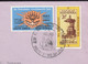 1965 Republic Of South Africa First Day Cover Derde Eeufees Tercentenary 1665-1965 Cape Town Cancel - Briefe U. Dokumente