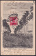 TMA-722 CUBA 1903 RARE MAXIM CARD ROYAL PALM MATANZAS TO FRANCE. - Cartes-maximum