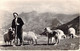 AGRICULTURE - ELEVAGE - BERGER DES PYRENEES Au Col D'Aubisque - P Chambon - Carte Postale Ancienne - Veeteelt