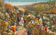 AGRICULTURE - CULTURE - La Cueillette De La Fleur D'Oranger - RM - Carte Postale Ancienne - Culturas