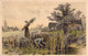 AGRICULTURE - CULTURE - Fauchage - Illustration Non Signée - Carte Postale Ancienne - Cultivation
