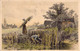 AGRICULTURE - CULTURE - Fauchage - Illustration Non Signée - Carte Postale Ancienne - Landwirtschaftl. Anbau