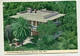 AK 111352 USA -Florida - Key West - Ernest Hemingway Home And Museum - Key West & The Keys