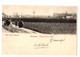 ROESELARE - Roulers - Panorama Sud - Verzonden In 1902 - Uitgave : Carlier-Dispersyn - Roeselare