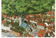 Ref (  488  )  Wolfhagen - Wolfhagen