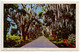 United States 1946 Postcard An Alluring Highway Scene Down South; Ham. & Jack. RPO Postmark - Rutas Americanas