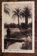 1936 Tunisie France Gabès Cpa CPSM Pour Auch Cover Colonie FP Oasis - Lettres & Documents