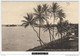 12661g HAWAII - On The Shore Of Pearl Harbor - 1911 - Big Island Of Hawaii