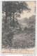 17296g FORET - LAC - Overmeire - 1910 - Berlare