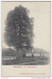 23317g DE VRIJHEIDSBOOM - Poederlé - 1909 - Relais St. Pieters Lille 1909 > Antwerpen - Lille