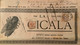 LA CICALA - RIVISTA MONDANA UMORISTICA ILLUSTRATA - 28 LUGLIO 1901 - PER POSTA E TASSATA - MOLTA PUBBLICITA' D'EPOCA - - Premières éditions