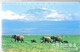 TC-MAGN-JAPON-1989-TROUPEAU ELEPHANTS-au Fond Le KILIMANDJARO-TBE - Selva