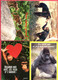 LOT DE 8 CP (Réf : FF 340) (ANIMAUX & FAUNE >SINGES) - Monkeys