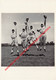 Baseball Team 1950's - Mickey Palles - Baseball - Baseball