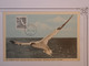 BN8  CANADA BELLE CARTE  FDC 1954  +ALGER  +AFFRANCH. PLAISANT - Maximumkarten (MC)