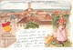 Neustrelitz Mecklenburg Color Litho Werbe Karte SUCHARD CACAO Dame In Tracht Gelaufen 23.11.1903 - Neustrelitz