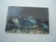 GREECE  MINT PHONECARDS  ANIMALS SEAL   2 SCAN - Fish