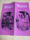 Prospectus Touristique/Come To Britain/Area Booklet N°8/WALES And The Border Counties Of England/1951             PGC507 - Tourism Brochures
