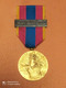 MEDAILLE DEFENSE NATIONALE TROUPES AEROPORTEES, PARACHUTISTE, TAP, ECHELON OR - France