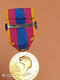 MEDAILLE DEFENSE NATIONALE TROUPES AEROPORTEES, PARACHUTISTE, TAP, ECHELON OR - France