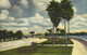 TAMPA - TROPICAL BAYSHORE BLVD. ALONG TAMPA BAY - Tampa