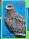 Lot 4 Cartes Téléphonique VIDE - Cabine Téléphone Prépayées - AIGLE Etats-Unis Oiseau Rapace COQ Français DRAPEAU - Adler & Greifvögel