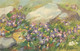 Post Card Wild Flowers Detail View A. Haller Signed Painting - Haller, A.