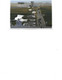 Germany - Postcard Used 2007 -  St.Peter Ording   2/scans - St. Peter-Ording