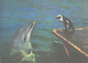 Georgia:Batumi Delfinarium, Arena, Dolphin With Penguin, 1980 - Dauphins