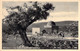 PALESTINE - BETHLEHEM - Le Tombeau De Rachel  - Carte Postale Ancienne - Palestina