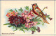 CHROMO  - Giroflées Et Pinson - Fleur - Oiseau -  - Carte Postale Ancienne - Autres & Non Classés