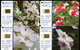 003-ROMANIA-PUZZLE 4 Pcs, Romtelecom, Flora-flowers, Public Chip Phone Cards, Used-good Quality, X0.000 Pcs Each 04/2005 - Puzzles