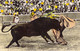 CORRIDA - Jeux De Cape - Corride De Toros - Edition NARBO - Colorisée - Carte Postale Ancienne - Stierkampf