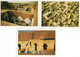 3 CPM  Mauritanie ( Postcard) Chinguetti La Prière ...Oualata.. .Atar * Cartes Edito Service S.A 1979 - Mauritanie