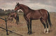 CHEVAUX - Illustration De Chevaux Dans Un Pré - Carte Postale Ancienne - - Chevaux